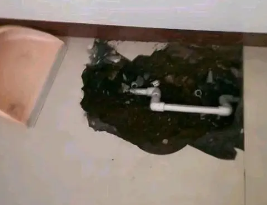 文安卫生间测漏水多少钱